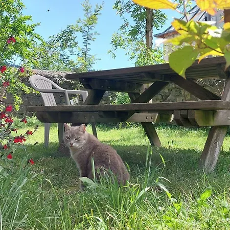 Le Hébergement de vacances *